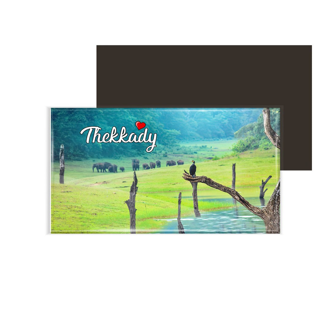 dhcrafts Fridge Magnet Rectangle Acrylic Glass (8.6 x 5.4 cm) Multicolor Kerala Thekkady Design Pack of 1