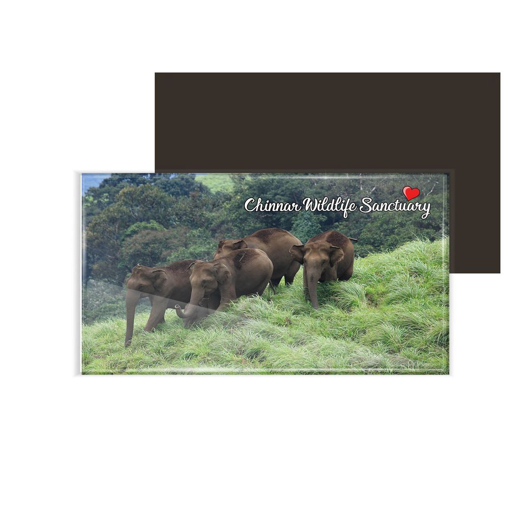 dhcrafts Fridge Magnet Rectangle Acrylic Glass (8.6 x 5.4 cm) Multicolor Kerala Chinnar Wildlife Sanctuary Design Pack of 1