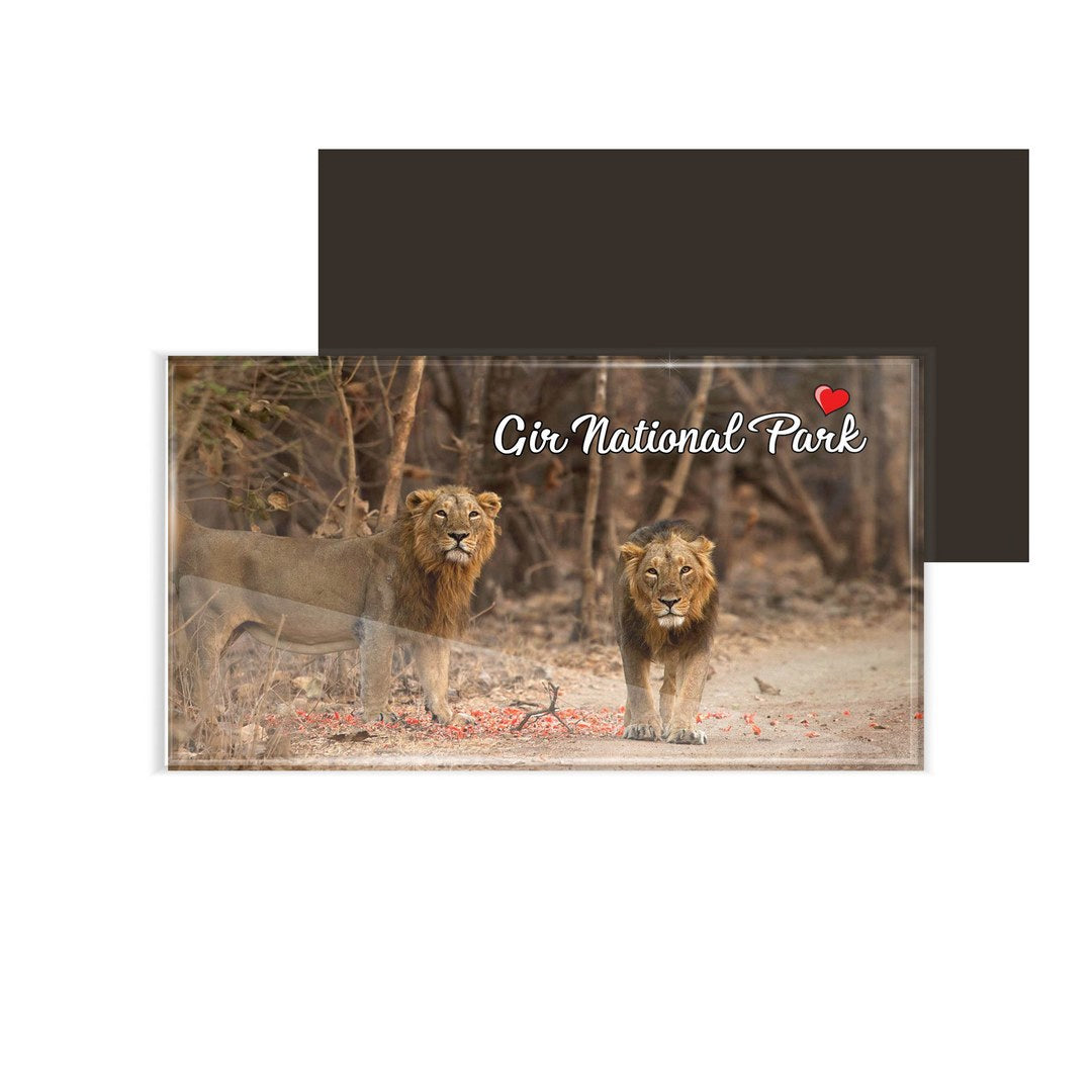 dhcrafts Fridge Magnet Rectangle Acrylic Glass (8.6 x 5.4 cm) Multicolor Gujarat Gir National Park Design Pack of 1