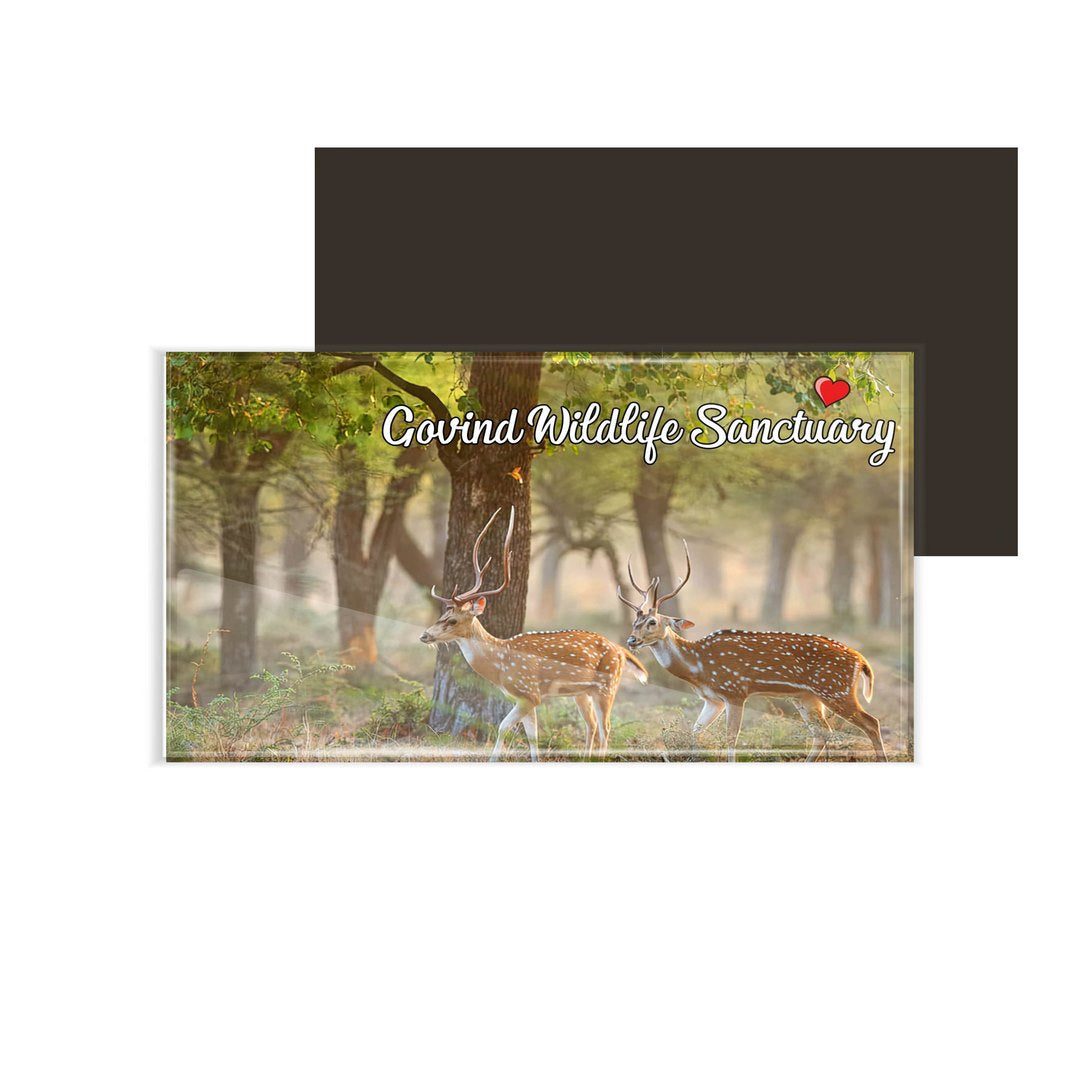 dhcrafts Fridge Magnet Rectangle Acrylic Glass (8.6 x 5.4 cm) Multicolor Uttarakhand Govind Pashu Vihar National Park & Sanctuar Design Pack of 1