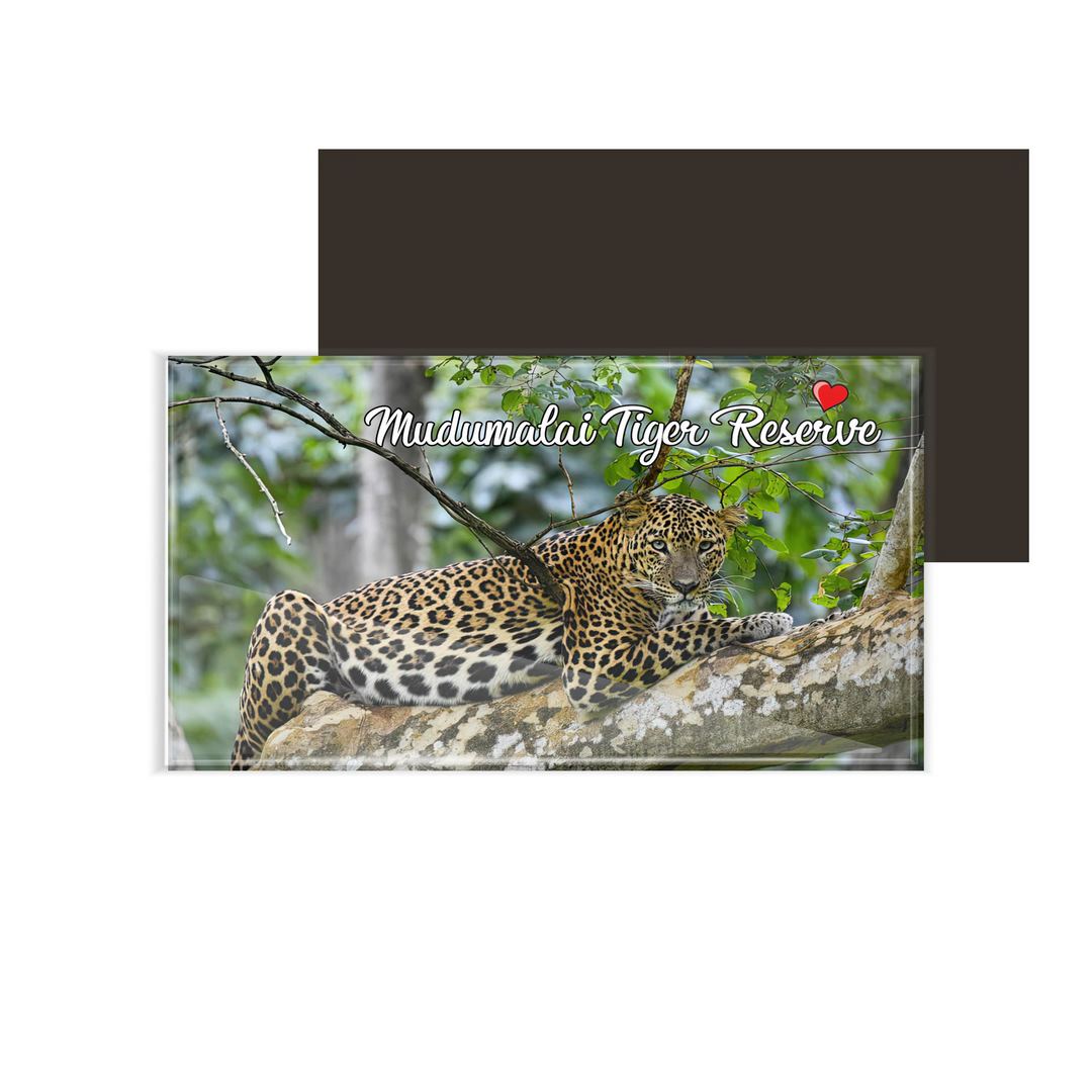 dhcrafts Fridge Magnet Rectangle Acrylic Glass (8.6 x 5.4 cm) Multicolor Tamil Nadu Mudumalai Tiger Reserve Design Pack of 1