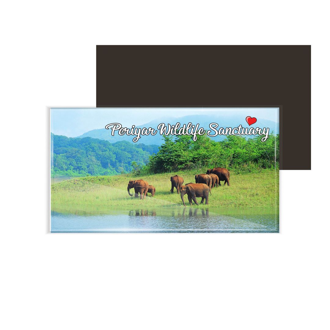 dhcrafts Fridge Magnet Rectangle Acrylic Glass (8.6 x 5.4 cm) Multicolor Kerala Periyar Wildlife Sanctuary Design Pack of 1