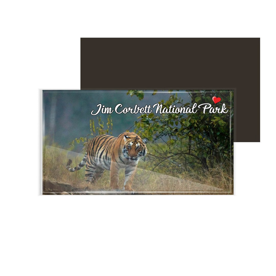 dhcrafts Fridge Magnet Rectangle Acrylic Glass (8.6 x 5.4 cm) Multicolor Uttarakhand Jim Corbett National Park Design Pack of 1