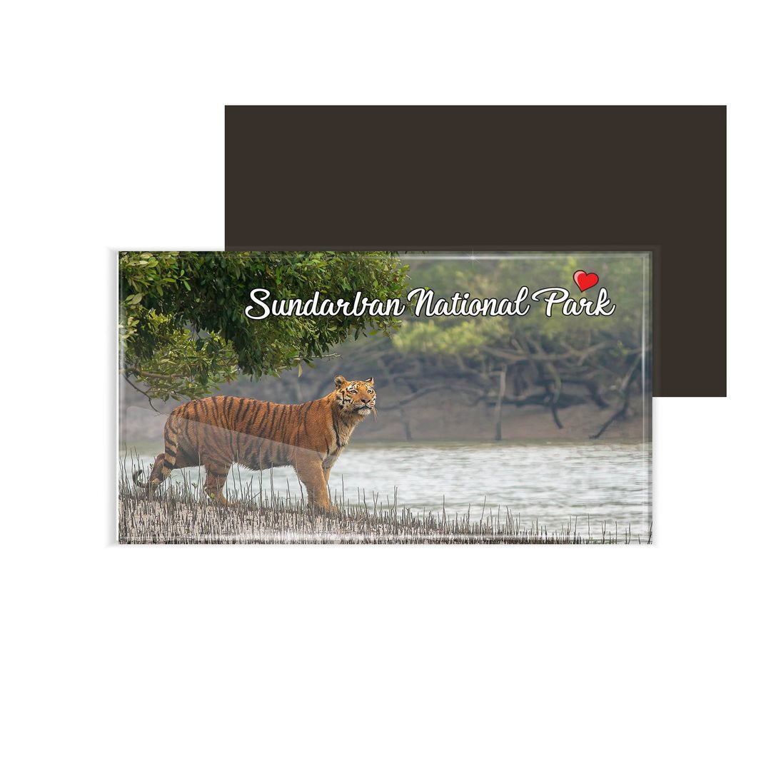 dhcrafts Fridge Magnet Rectangle Acrylic Glass (8.6 x 5.4 cm) Multicolor West Bengal Sundarban National Park Design Pack of 1