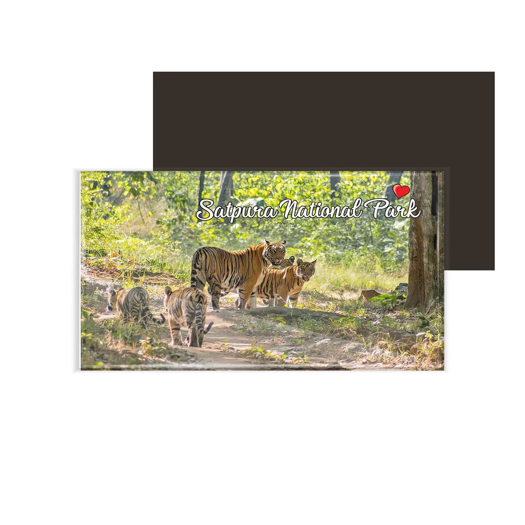 dhcrafts Fridge Magnet Rectangle Acrylic Glass (8.6 x 5.4 cm) Multicolor Madhya Pradesh Satpura National Park Design Pack of 1