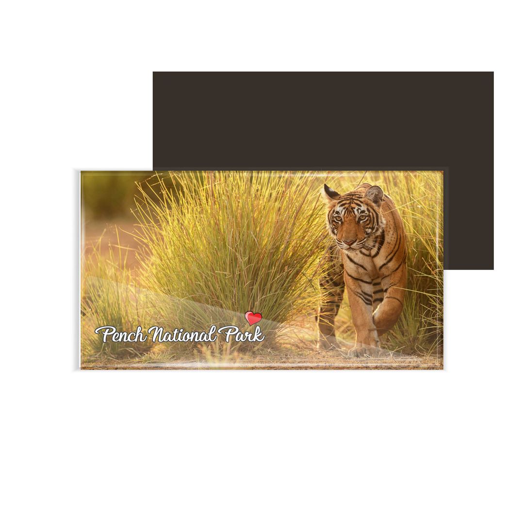 dhcrafts Fridge Magnet Rectangle Acrylic Glass (8.6 x 5.4 cm) Multicolor Kerala Pench National Park Design Pack of 1
