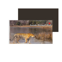 dhcrafts Fridge Magnet Rectangle Acrylic Glass (8.6 x 5.4 cm) Multicolor Rajasthan Sariska Tiger Reserve Design Pack of 1