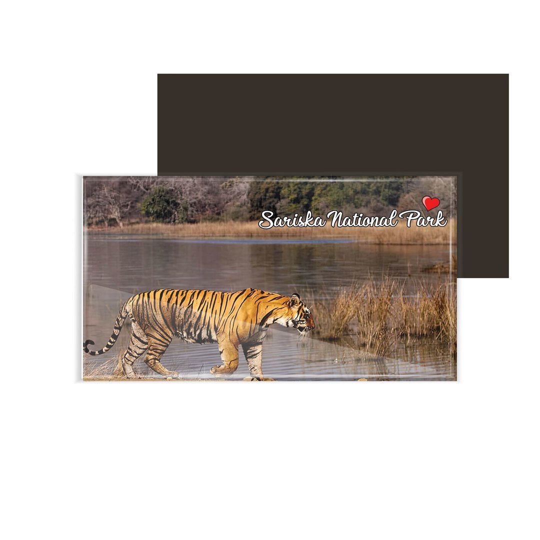 dhcrafts Fridge Magnet Rectangle Acrylic Glass (8.6 x 5.4 cm) Multicolor Rajasthan Sariska Tiger Reserve Design Pack of 1