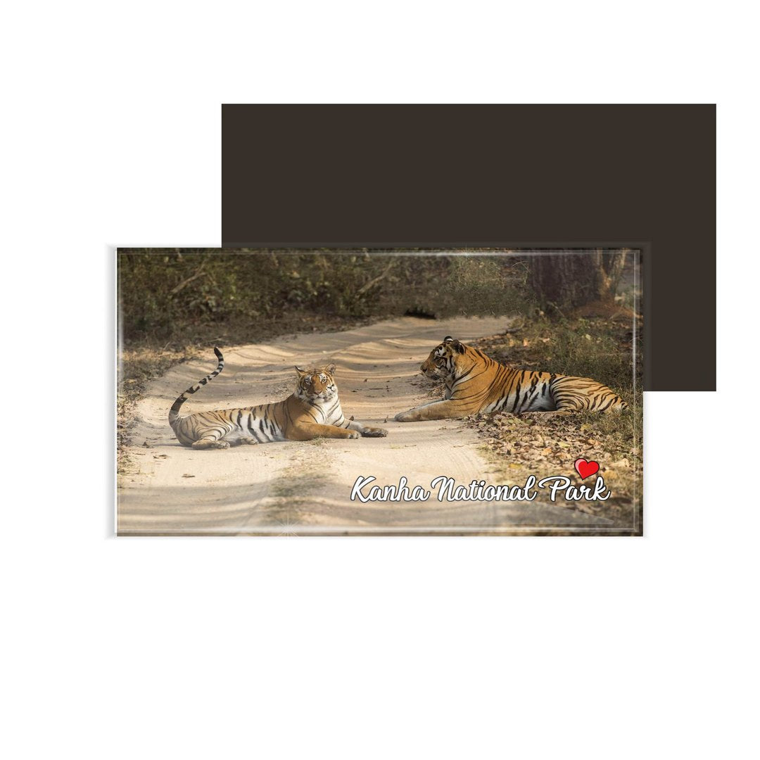 dhcrafts Fridge Magnet Rectangle Acrylic Glass (8.6 x 5.4 cm) Multicolor Madhya Pradesh Kanha Tiger Reserve Design Pack of 1