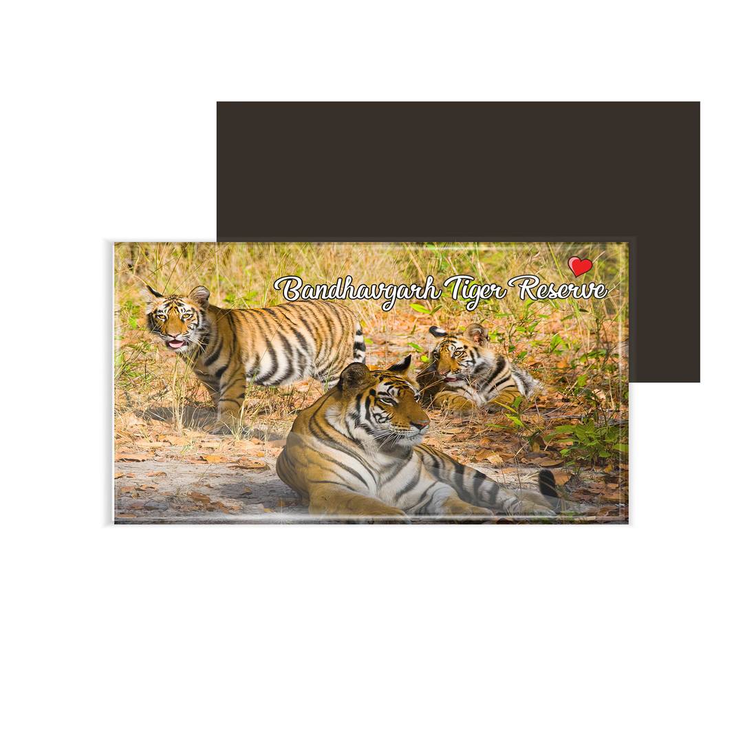 dhcrafts Fridge Magnet Rectangle Acrylic Glass (8.6 x 5.4 cm) Multicolor Madhya Pradesh Bandhavgarh National Park Design Pack of 1