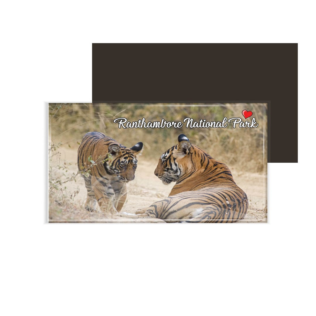 dhcrafts Fridge Magnet Rectangle Acrylic Glass (8.6 x 5.4 cm) Multicolor Rajasthan Ranthambore National Park Design Pack of 1