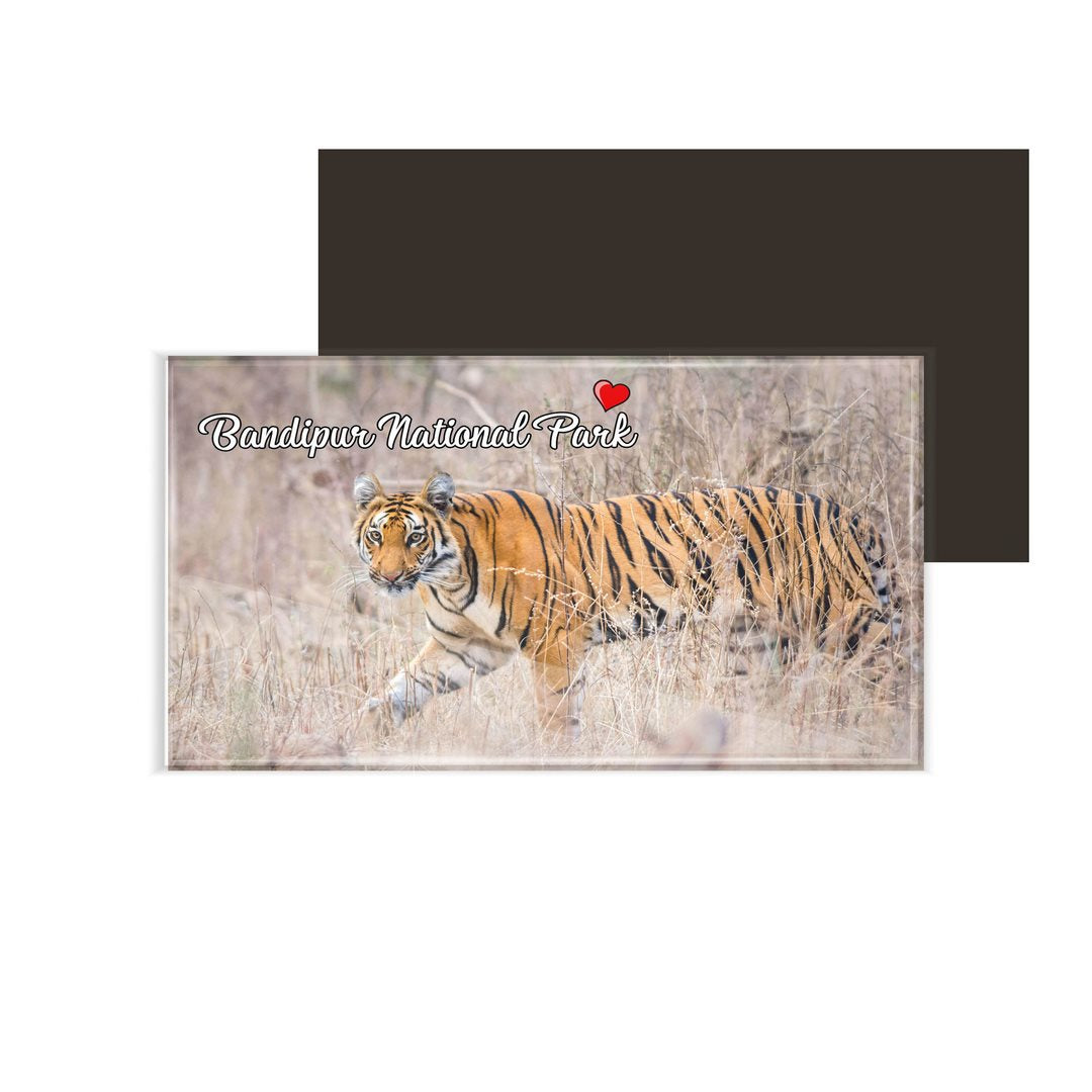 dhcrafts Fridge Magnet Rectangle Acrylic Glass (8.6 x 5.4 cm) Multicolor Karnataka Bandipur National Park Design Pack of 1