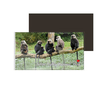 dhcrafts Fridge Magnet Rectangle Acrylic Glass (8.6 x 5.4 cm) Multicolor Kerala Silent Valley National Park Design Pack of 1