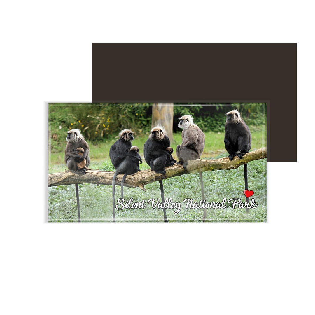 dhcrafts Fridge Magnet Rectangle Acrylic Glass (8.6 x 5.4 cm) Multicolor Kerala Silent Valley National Park Design Pack of 1