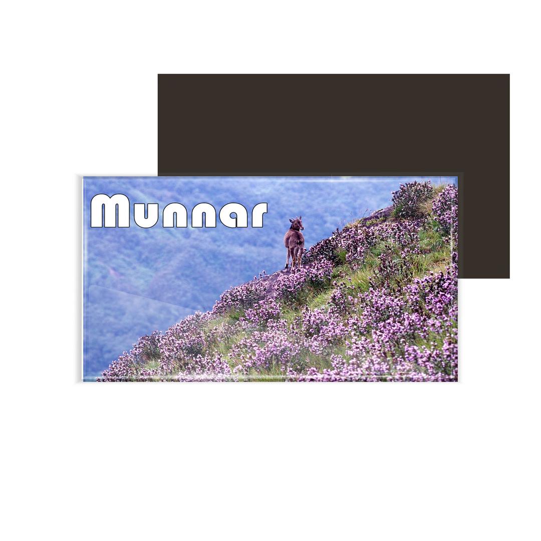 dhcrafts Fridge Magnet Rectangle Acrylic Glass (8.6 x 5.4 cm) Kerala Munnar D1 Neelakurinji Design Pack of 1