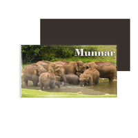 dhcrafts Fridge Magnet Rectangle Acrylic Glass (8.6 x 5.4 cm) Kerala Munnar D10 Elephant Design Pack of 1