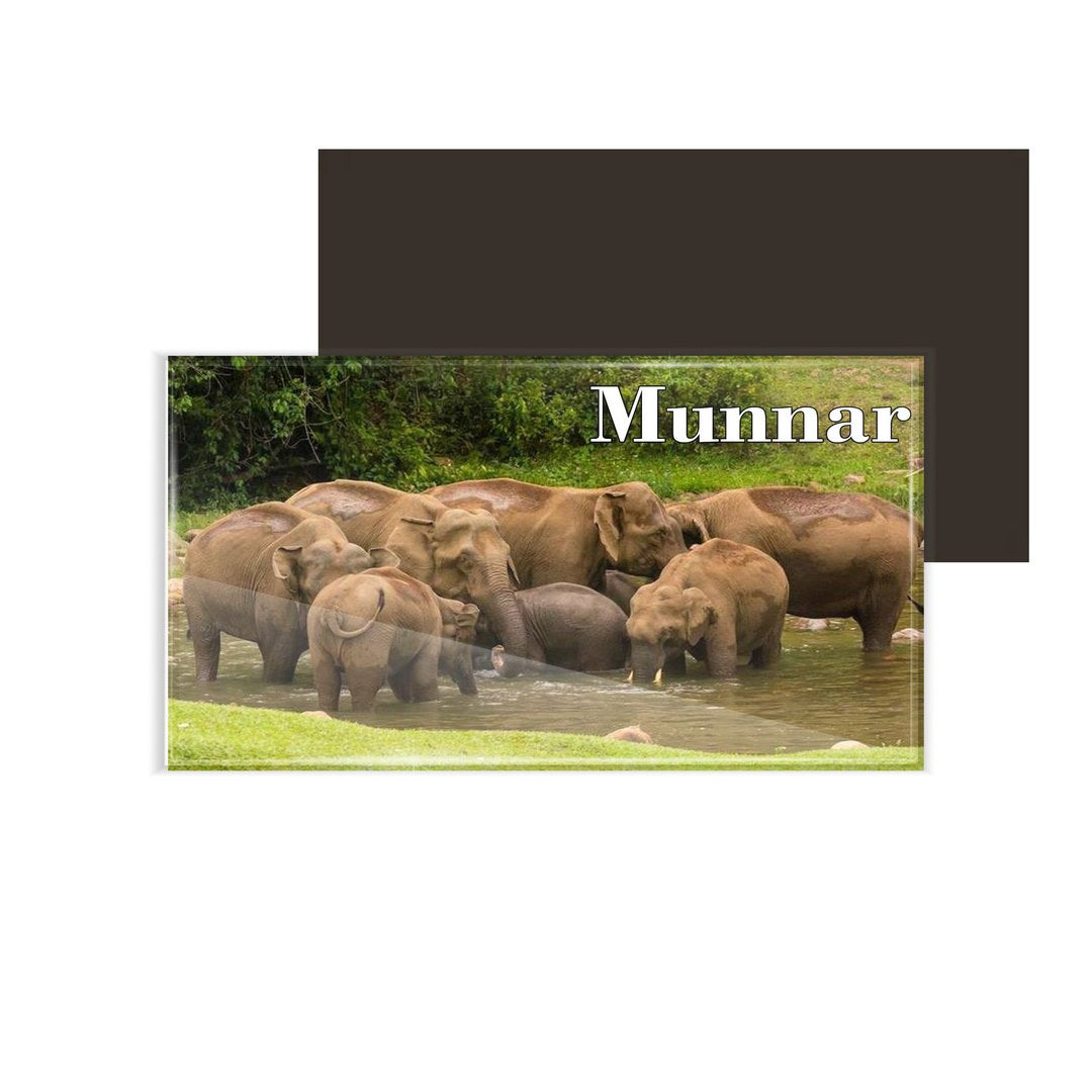 dhcrafts Fridge Magnet Rectangle Acrylic Glass (8.6 x 5.4 cm) Kerala Munnar D10 Elephant Design Pack of 1