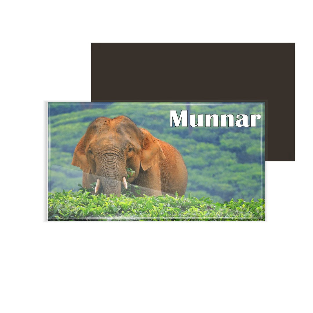 dhcrafts Fridge Magnet Rectangle Acrylic Glass (8.6 x 5.4 cm) Kerala Munnar D11 Tea Leaves And Elephant Design Pack of 1