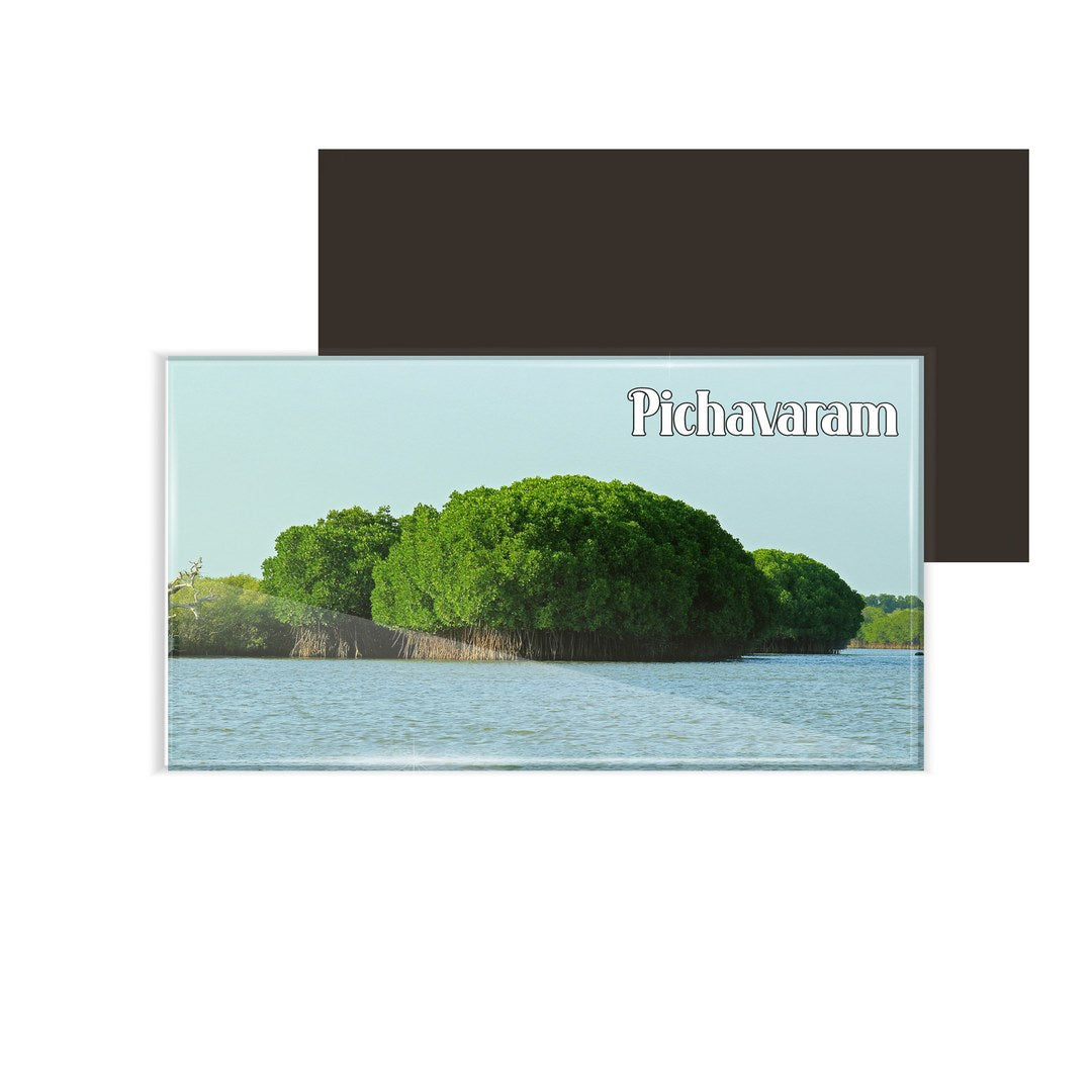 dhcrafts Multicolor Tamil Nadu Pichavaram Design Rectangular Acrylic Fridge Magnet / Magnetic Card Pack of 1 (8.6cm x 5.4cm)