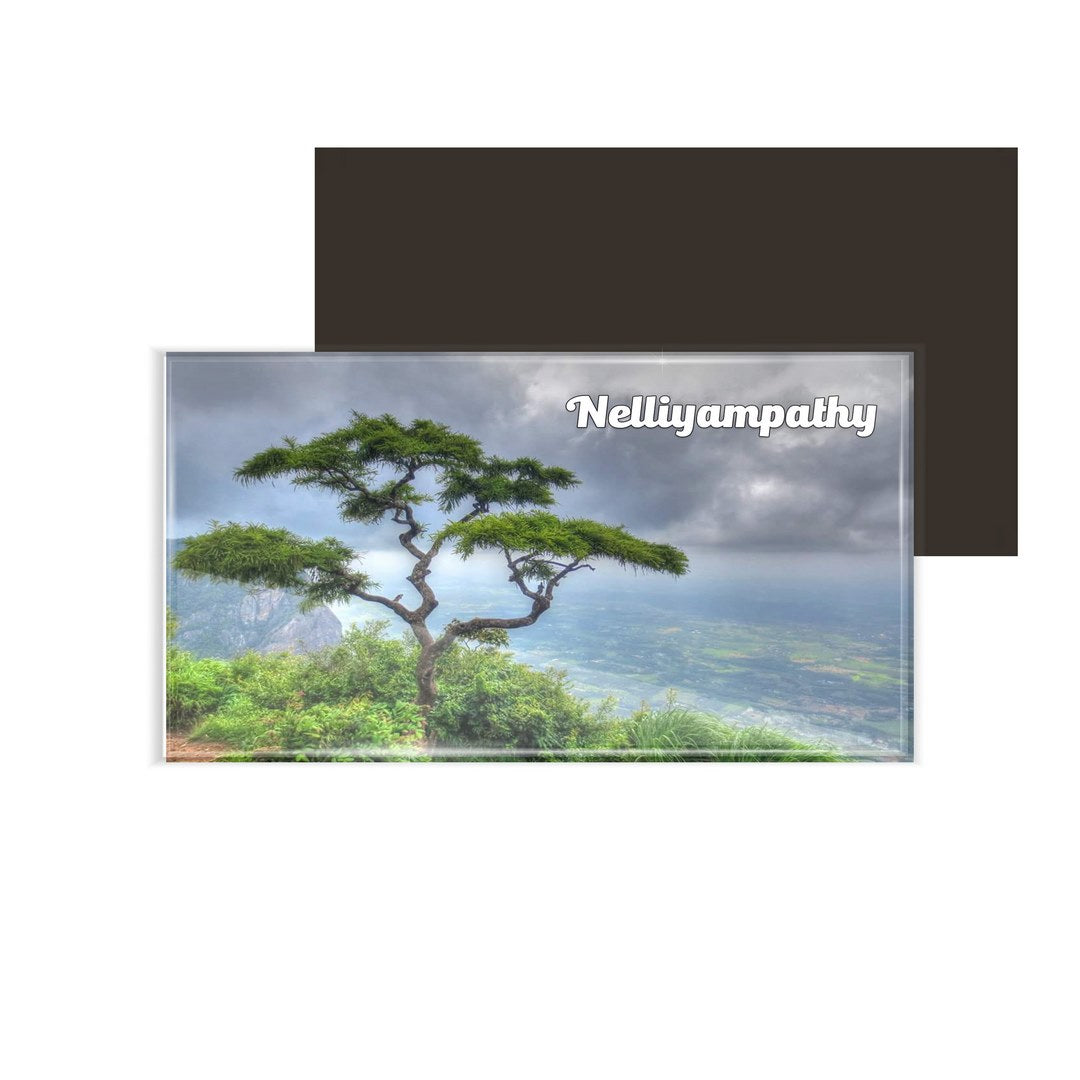 dhcrafts Multicolor Kerala Nelliyampathy Design Rectangular Acrylic Fridge Magnet / Magnetic Card Pack of 1 (8.6cm x 5.4cm)