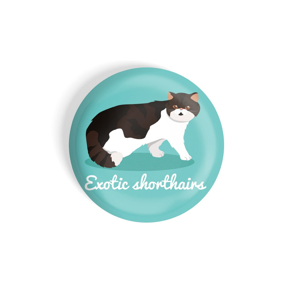 dhcrafts Round Fridge Magnet Blue Color Exotic Shorthairs Pet Cat Glossy Finish Design Pack of 1 (58 mm)