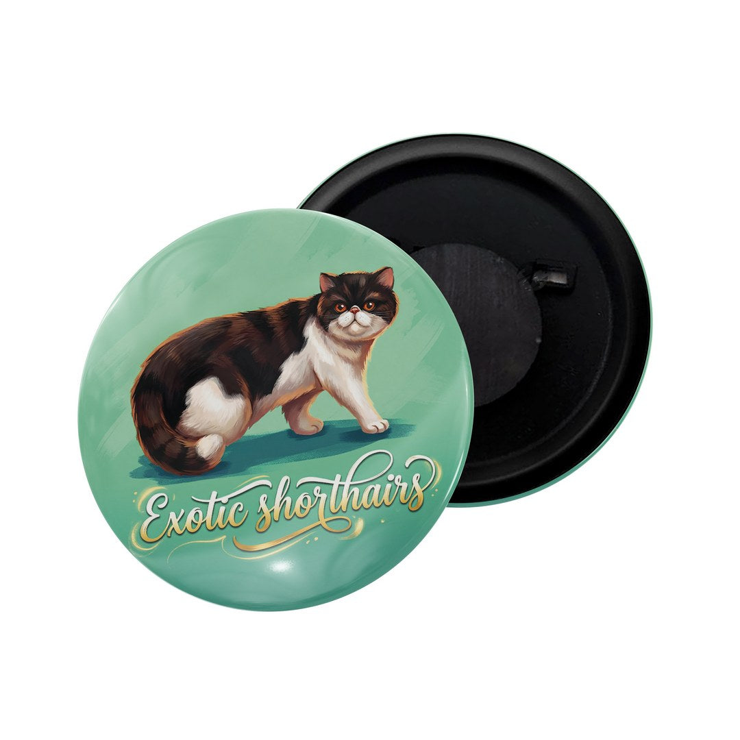 dhcrafts Fridge Magnet Blue Color Exotic Shorthairs Pet Cat Glossy Finish Design Pack of 1