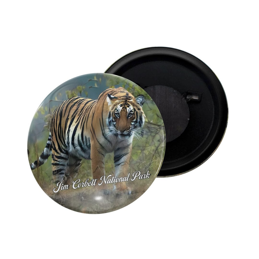 dhcrafts Fridge Magnet Multicolor Maharashtra Grishneshwar Chhatrapati Sambhajinagar Glossy Finish Design Pack of 1
