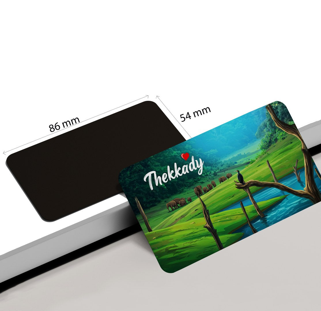 dhcrafts Rectangular Fridge Magnet Multicolor Kerala Thekkady Design Pack of 1 (8.6cm x 5.4cm)