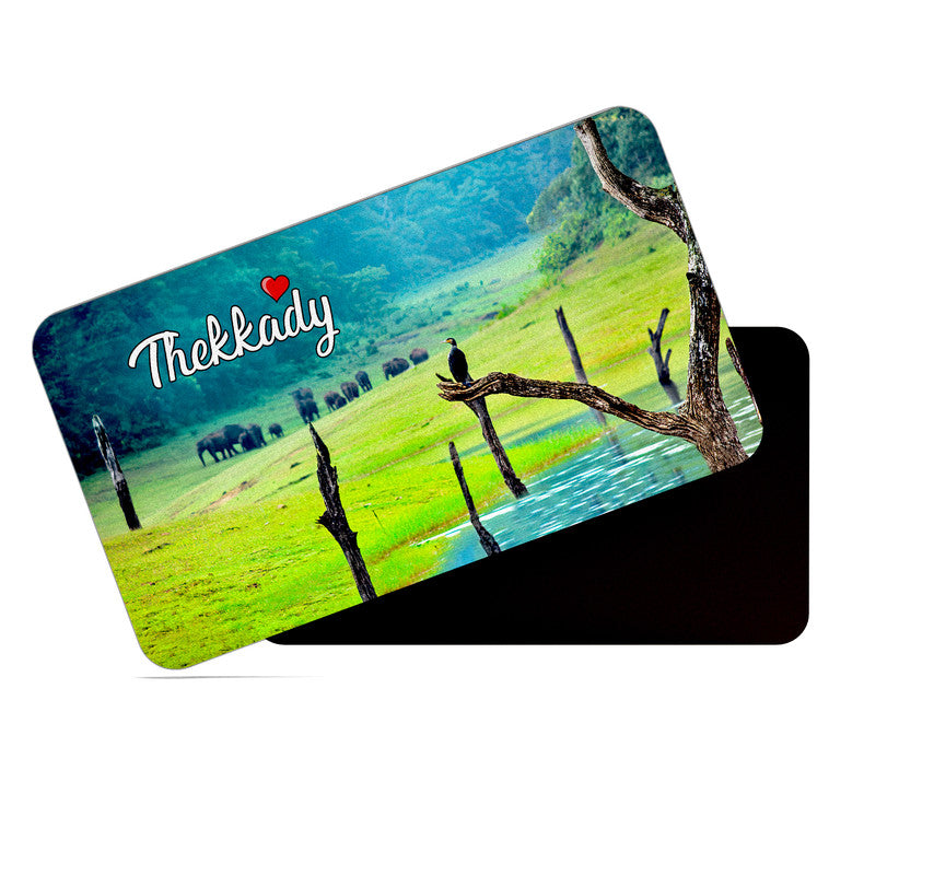 dhcrafts Rectangular Rubber Fridge Magnet / Magnetic Card Multicolor Kerala Thekkady Design Pack of 1 (8.6cm x 5.4cm)