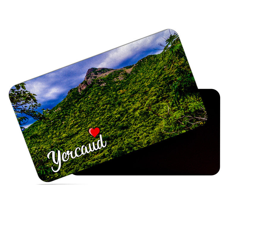 dhcrafts Rectangular Rubber Fridge Magnet / Magnetic Card Multicolor Tamil Nadu Yercaud Design Pack of 1 (8.6cm x 5.4cm)