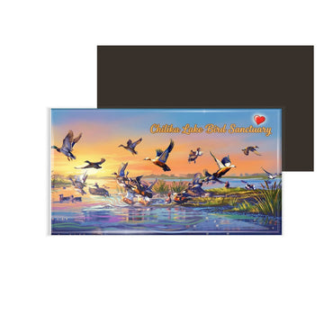 dhcrafts Rectangular Fridge Magnet Multicolor Odisha Chilka Bird Sanctuary Design Pack of 1 (8.6cm x 5.4cm)