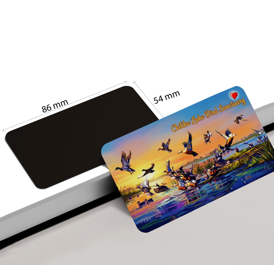 dhcrafts Rectangular Fridge Magnet Multicolor Odisha Chilka Bird Sanctuary Design Pack of 1 (8.6cm x 5.4cm)