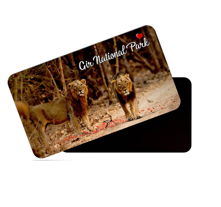 dhcrafts Rectangular Rubber Fridge Magnet / Magnetic Card Multicolor Gir National Park Gujarat Design Pack of 1 (8.6cm x 5.4cm)