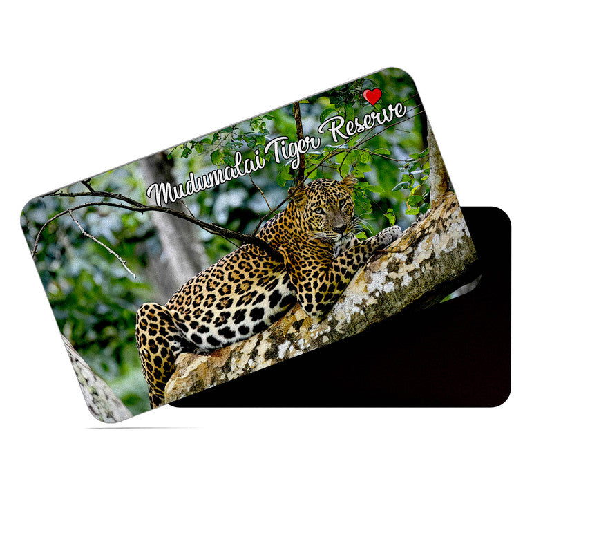 dhcrafts Rectangular Rubber Fridge Magnet / Magnetic Card Multicolor Mudumalai Tiger Reserve Tamil Nadu Design Pack of 1 (8.6cm x 5.4cm)