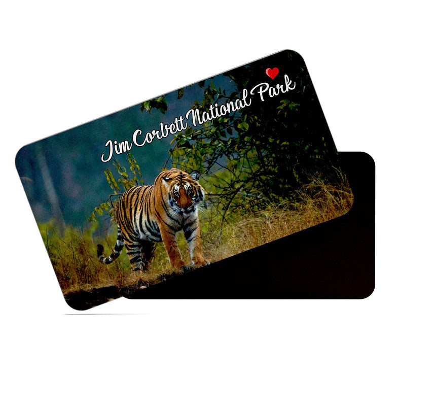 dhcrafts Rectangular Rubber Fridge Magnet / Magnetic Card Multicolor Jim Corbett National Park Uttarakhand Design Pack of 1 (8.6cm x 5.4cm)
