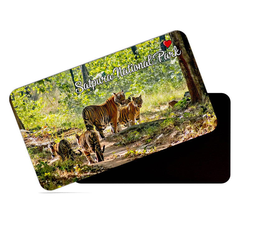 dhcrafts Rectangular Rubber Fridge Magnet / Magnetic Card Multicolor Satpura National Park Madhya Pradesh Design Pack of 1 (8.6cm x 5.4cm)