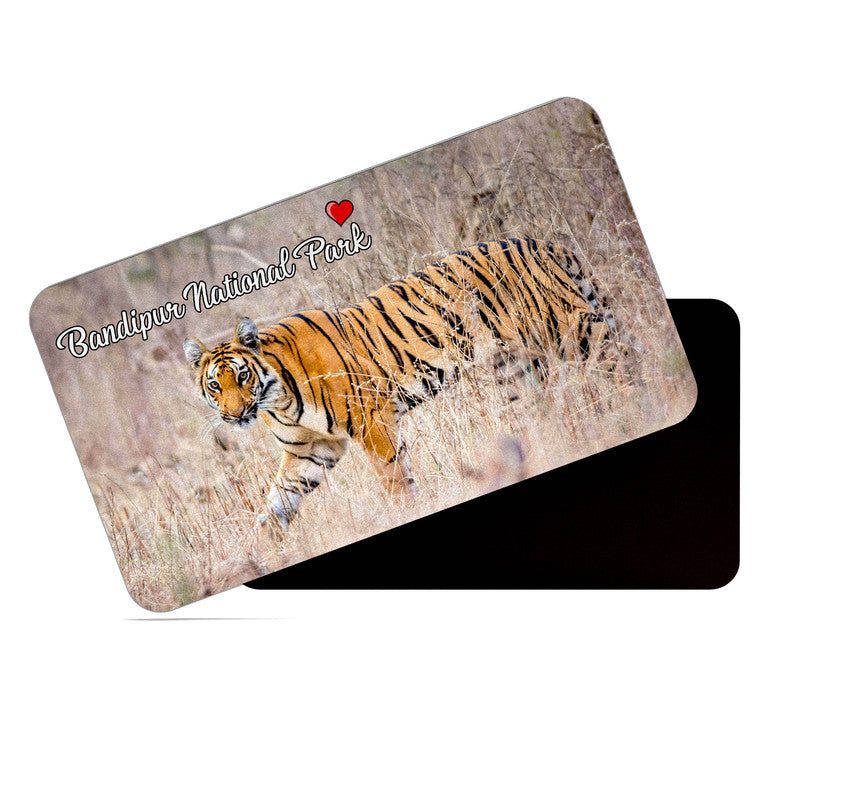 dhcrafts Rectangular Rubber Fridge Magnet / Magnetic Card Multicolor Bandipur National Park Karnataka Design Pack of 1 (8.6cm x 5.4cm)