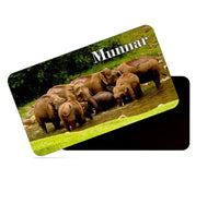 dhcrafts Rectangular Rubber Fridge Magnet / Magnetic Card Multicolor Kerala Munnar D10 Elephant Design Pack of 1 (8.6cm x 5.4cm)