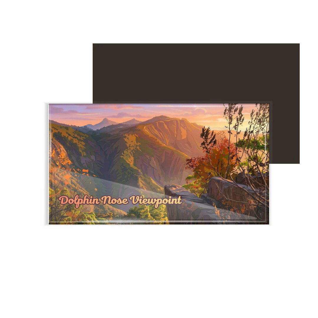 dhcrafts Multicolor Tamil Nadu Dolphin Nose Viewpoint Design Rectangular Fridge Magnet Pack of 1 (8.6cm x 5.4cm)