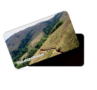 dhcrafts Multicolor Kerala Pakshipathalam Design Rectangular Rubber Matte Finish Fridge Magnet / Magnetic Card Pack of 1 (8.6cm x 5.4cm)