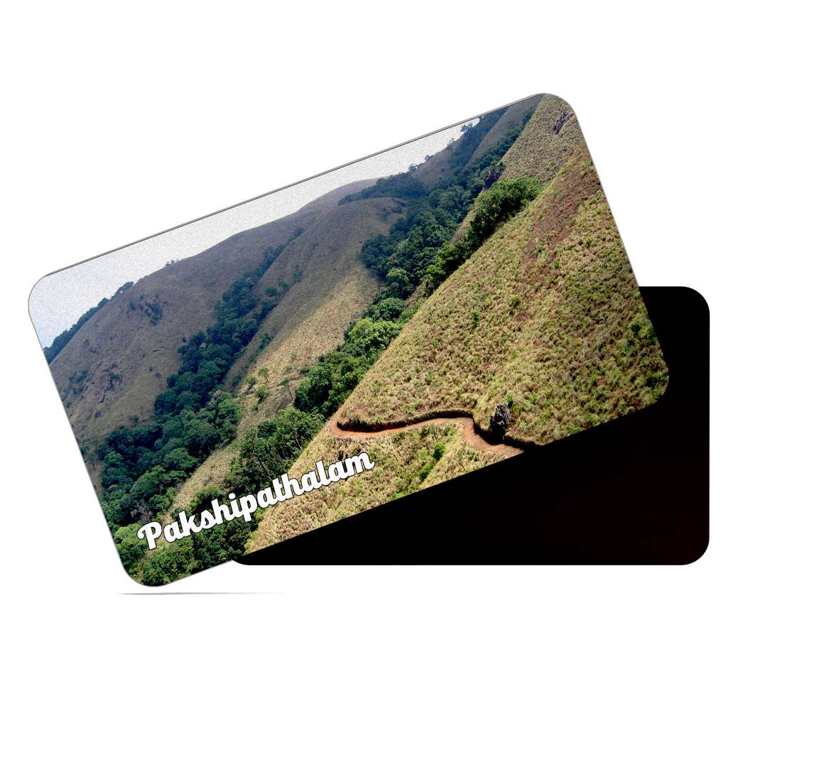 dhcrafts Multicolor Kerala Pakshipathalam Design Rectangular Rubber Matte Finish Fridge Magnet / Magnetic Card Pack of 1 (8.6cm x 5.4cm)