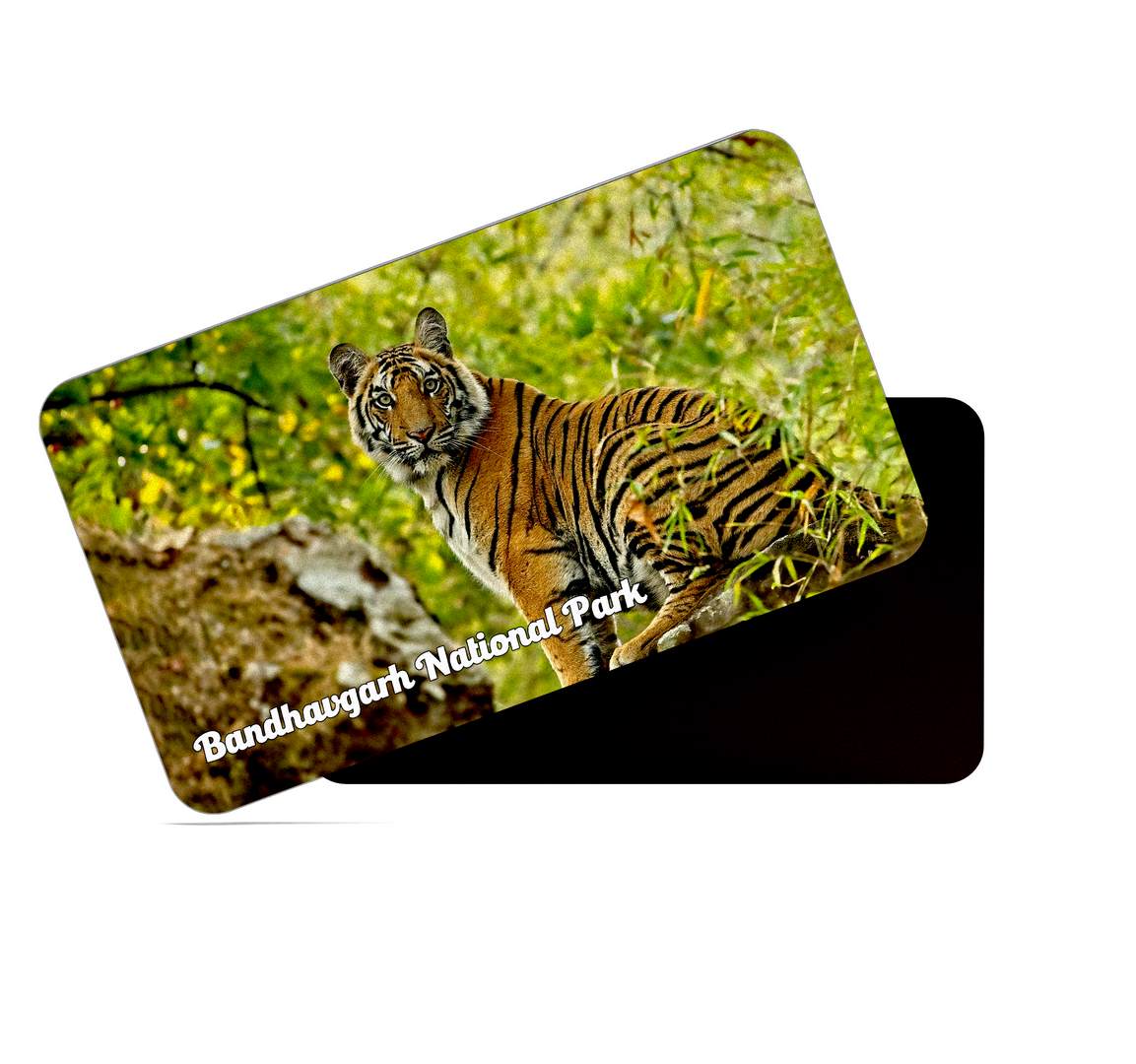 dhcrafts Multicolor Madhya Pradesh Bandhavgarh National Park D1 Design Rectangular Rubber Matte Finish Fridge Magnet / Magnetic Card Pack of 1 (8.6cm x 5.4cm)