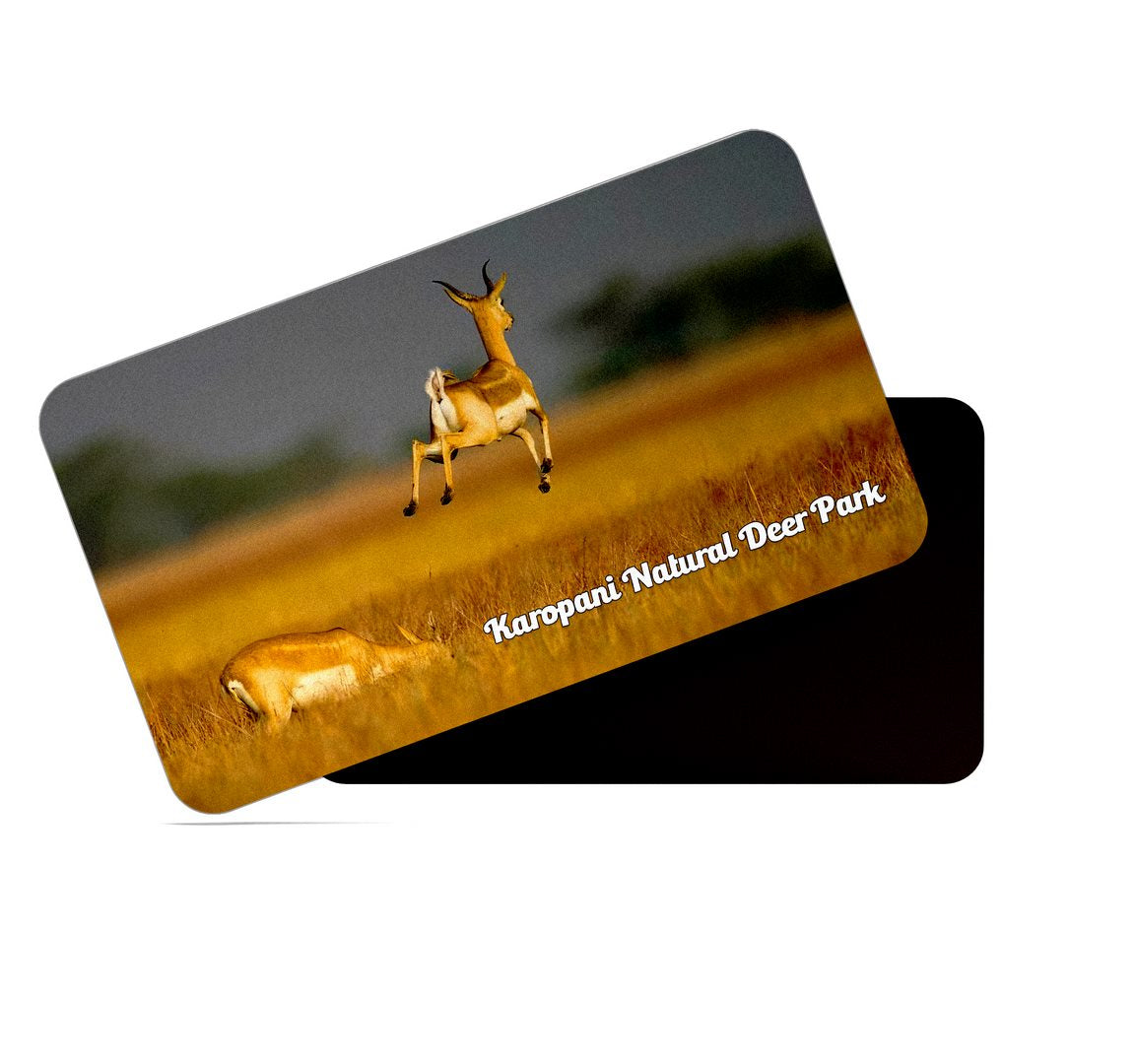 dhcrafts Multicolor Madhya Pradesh Karopani Natural Deer Park Design Rectangular Rubber Matte Finish Fridge Magnet / Magnetic Card Pack of 1 (8.6cm x 5.4cm)