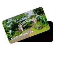 dhcrafts Multicolor Madhya Pradesh Ghughwa Fossil Park Design Rectangular Rubber Matte Finish Fridge Magnet / Magnetic Card Pack of 1 (8.6cm x 5.4cm)
