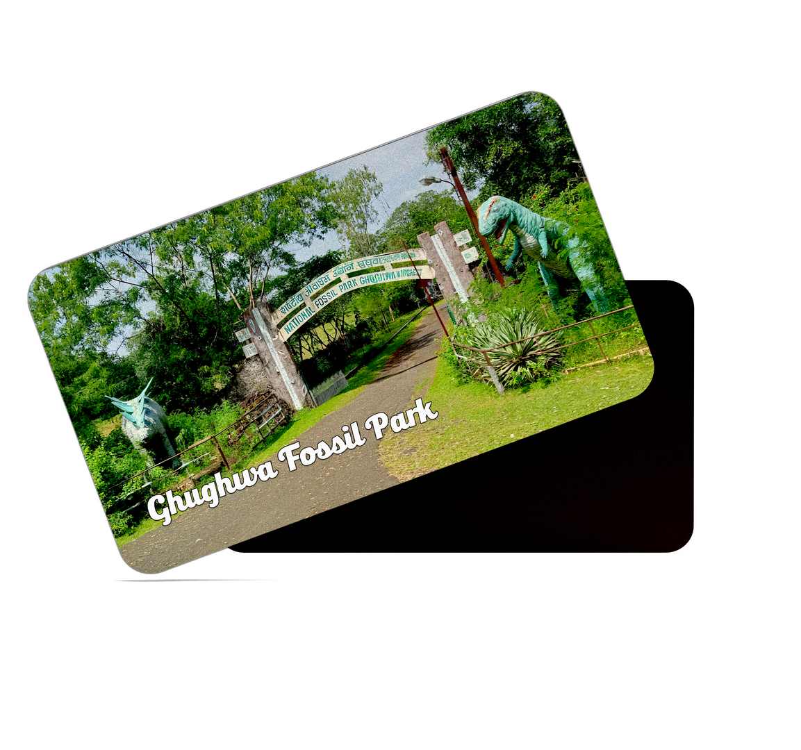 dhcrafts Multicolor Madhya Pradesh Ghughwa Fossil Park Design Rectangular Rubber Matte Finish Fridge Magnet / Magnetic Card Pack of 1 (8.6cm x 5.4cm)