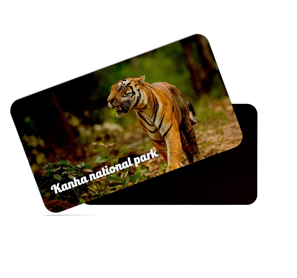 dhcrafts Multicolor Madhya Pradesh Kanha National Park Design Rectangular Rubber Matte Finish Fridge Magnet / Magnetic Card Pack of 1 (8.6cm x 5.4cm)