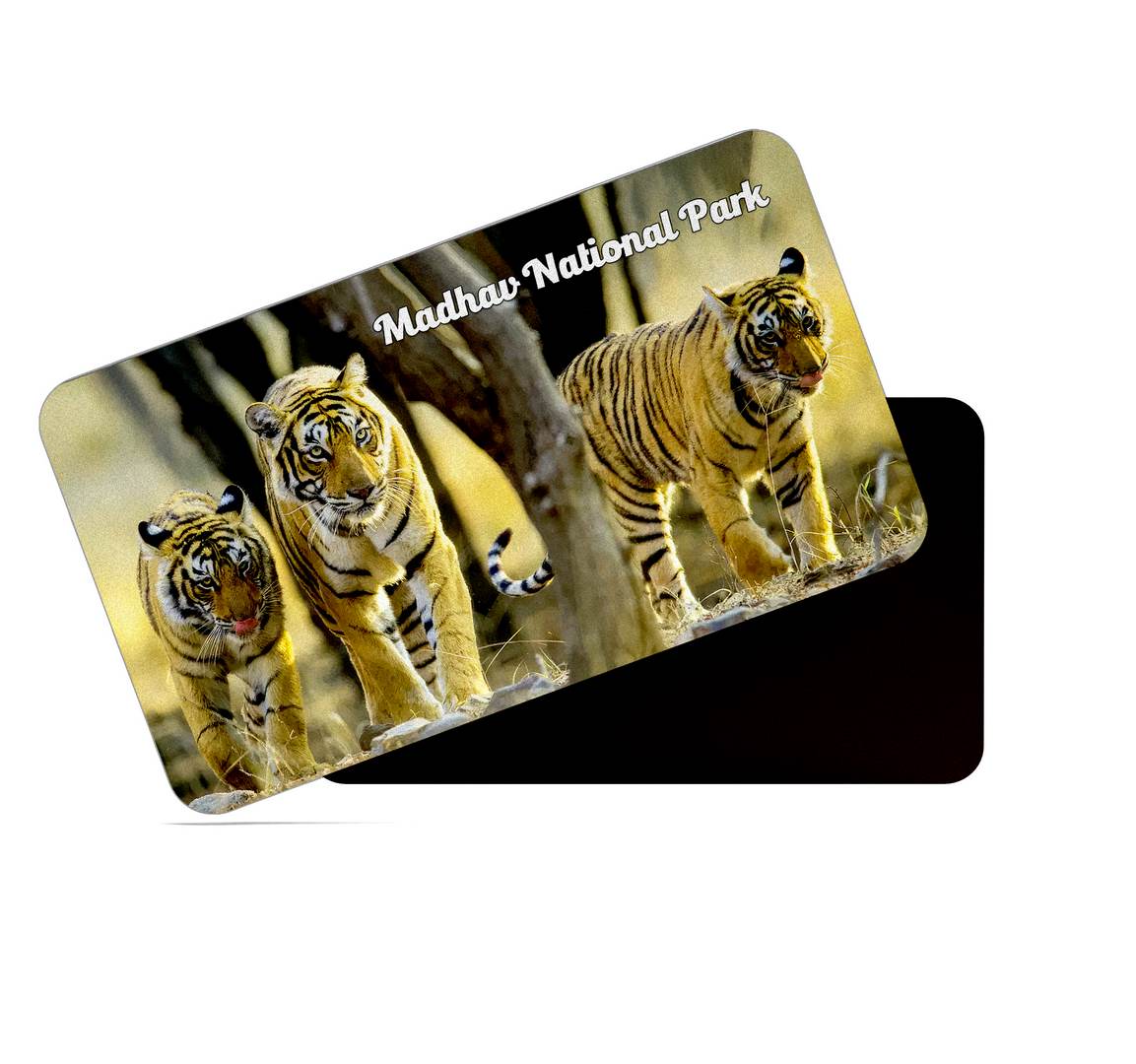 dhcrafts Multicolor Madhya Pradesh Madhav National Park Design Rectangular Rubber Matte Finish Fridge Magnet / Magnetic Card Pack of 1 (8.6cm x 5.4cm)