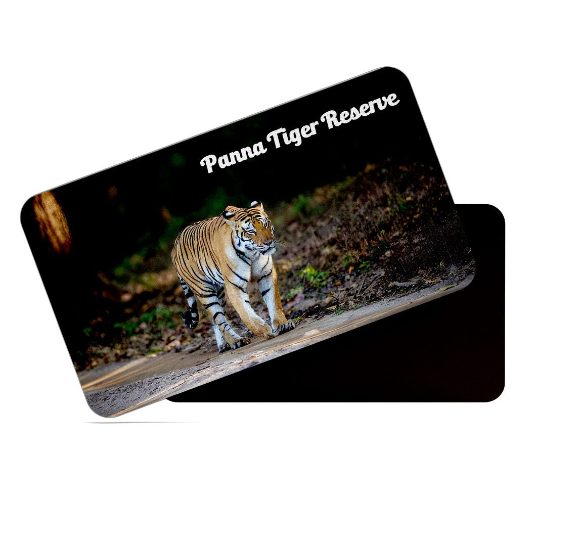 dhcrafts Multicolor Madhya Pradesh Panna Tiger Reserve Design Rectangular Rubber Matte Finish Fridge Magnet / Magnetic Card Pack of 1 (8.6cm x 5.4cm)