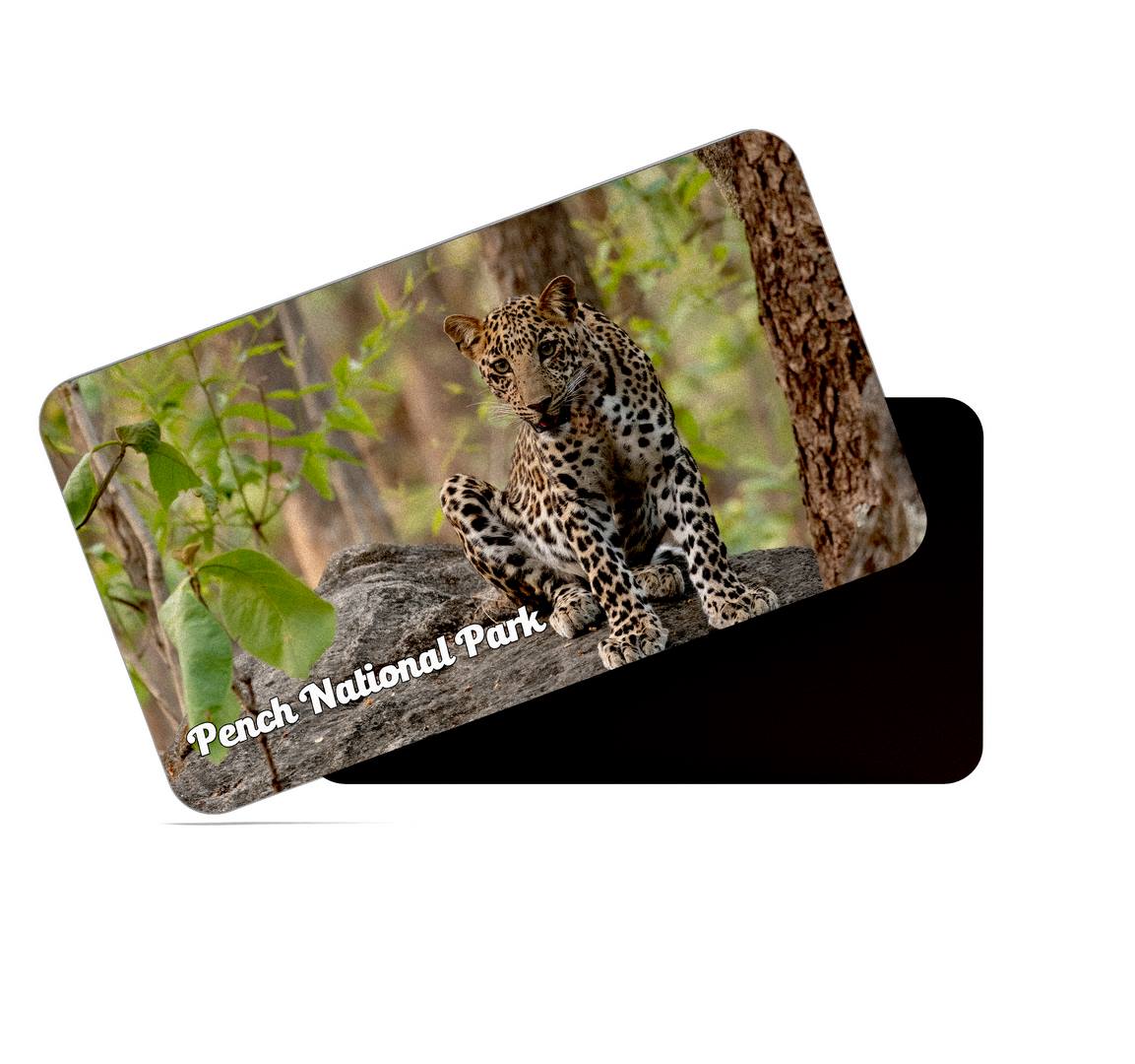 dhcrafts Multicolor Madhya Pradesh Pench National Park Design Rectangular Rubber Matte Finish Fridge Magnet / Magnetic Card Pack of 1 (8.6cm x 5.4cm)