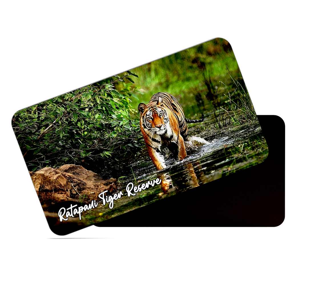 dhcrafts Multicolor Madhya Pradesh Ratapani Tiger Reserve Design Rectangular Rubber Matte Finish Fridge Magnet / Magnetic Card Pack of 1 (8.6cm x 5.4cm)